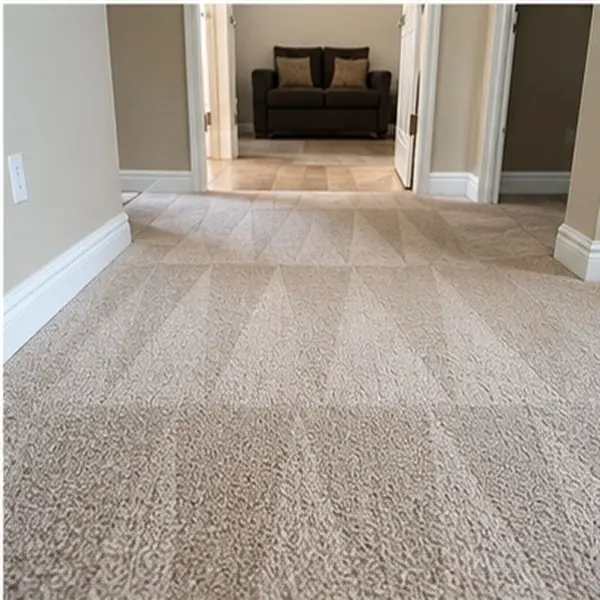 Carpet cleaning results in Spotswood VIC