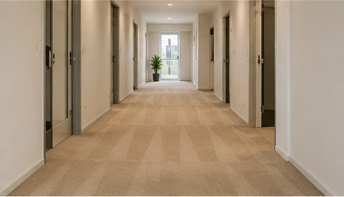 Carpet types cleaned in Spotswood